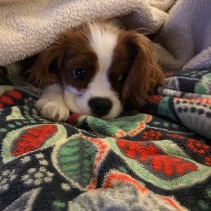 Meet your Posher, Judith